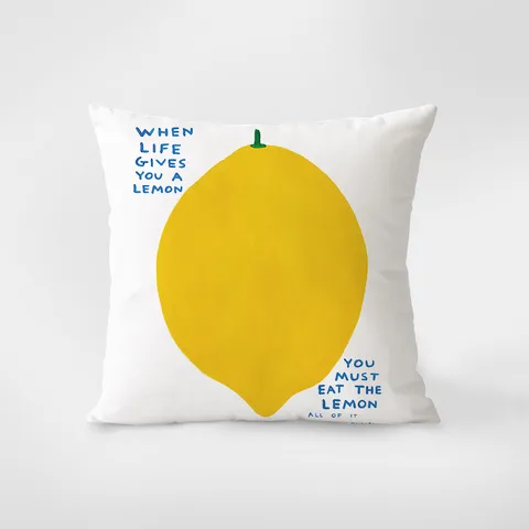 Fodera per Cuscino Decorativa in Flanella Quadrata Cuscino Con Stampa Divertente Per Divano Soggiorno Comodino Decorazioni