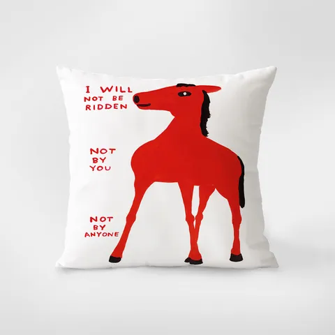 Fodera per Cuscino Decorativa in Morbido Velluto con Stampa d'Arte Creativa Stile Ins per Divano Soggiorno Decorazioni per la Casa