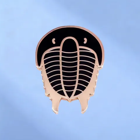 Cambrian Trilobite Metal Brooch Enamel Pin Ancient Arthropod Fossil Badge For Backpack Clothing Decorative Jewelry Gift