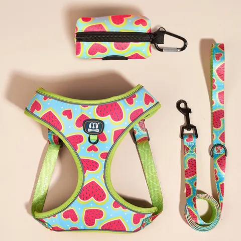 Pet Dog Cat Harness And Leash Set Adjustable Reflective Breathable Mesh Vest With Waste Bag Dispenser Cute Print Pet Supplies