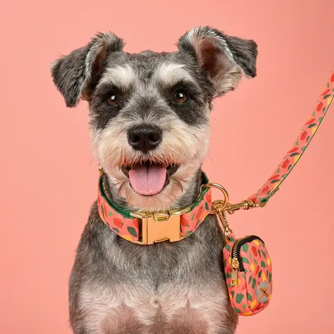 Set Guinzaglio Collare E Porta Sacchetti Per Animali Domestici Stampa Fronte Retro Guinzaglio Per Cani In Poliestere Per Passeggiate All'aperto