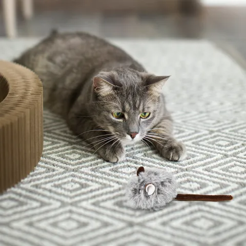 Grey Simulation Plush Mouse Cat Toy Interactive Soft Polyester Small Animal Toys For Pets Daily Playing