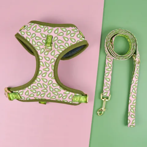 Cute Fruit Print Pet Chest Strap And Traction Rope Set Breathable Mesh Dog Harness Leash For Medium And Large Dogs