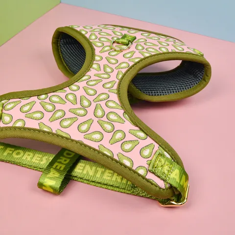 Cute Fruit Print Pet Chest Strap And Traction Rope Set Breathable Mesh Dog Harness Leash For Medium And Large Dogs