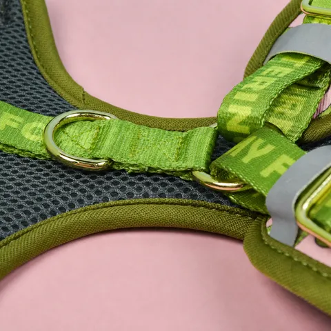 Nuovo Primavera Estate Moda Carino Traspirante Regolabile Pettorina per Cani Guinzaglio Collare Etichetta ID Set Poliestere Pettorina Cane