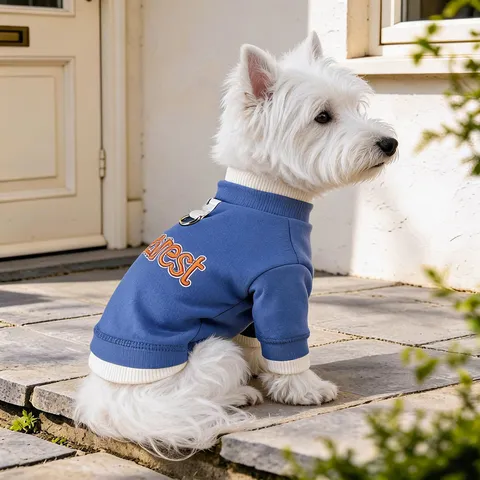 Small Dog Clothes Spring Autumn Warm Polyester Sweater Cute Letter Embroidery Pet Apparel For Puppy Small Dogs