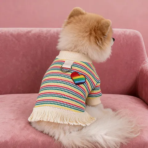 Small Dog Rainbow Tassel Knit Vest Cute Puppy Pullover Sweater Soft Warm Pet Apparel For Spring Autumn