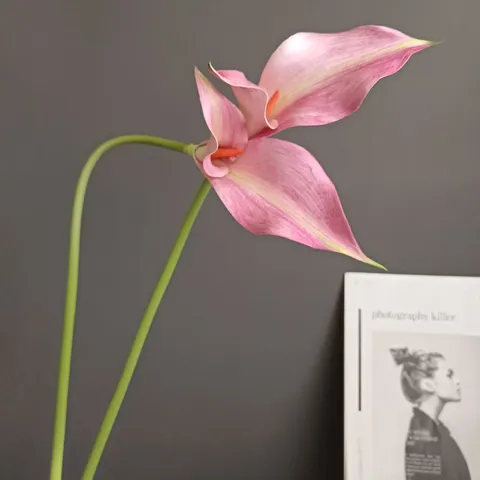 Nordischer Stil Künstliche Calla Lily Blume PVC Doppelter Kopf Calla Lily Für Zuhause Hochzeit Party Fenster Display Dekoration