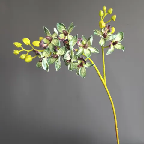 Orquídea Phalaenopsis Artificial Rama Única Encolada en PU Flor Realista Para Decoración del Hogar Nórdica Boda