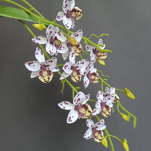 Vid De Flor De Orquídea Artificial Colgante Simulación Phalaenopsis Planta Para El Hogar Boda Hotel Decoración Arreglo Paisaje