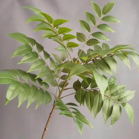 Ramas de Hojas de Glicinia Artificiales Tallos de Plantas Verdes Falsas Para Decoración del Hogar Paisajismo de Hotel