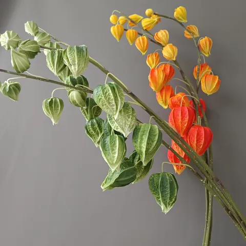 Rama De Physalis Artificial De PU Fruta Linterna Falsa Flor Moderna Hogar Hotel Arreglo Floral Decorativo