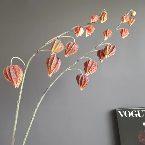 Rama De Physalis Artificial De PU Fruta Linterna Falsa Flor Moderna Hogar Hotel Arreglo Floral Decorativo