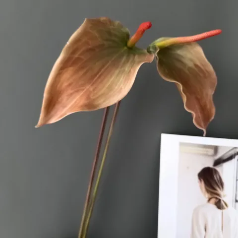 Flor de Anturio Artificial Caucho Suave Tacto Degradado Tallo Largo Planta Falsa Para Decoración Del Hogar Fiesta De Boda