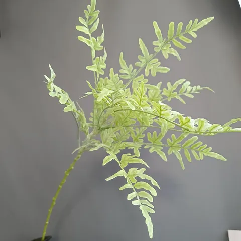 Tallo de Hoja de Helecho Artificial de Caucho Suave Planta Falsa para Decoración Nórdica del Hogar Bodas Accesorios de Fotografía