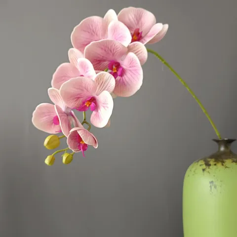 Rama de Flor de Orquídea Phalaenopsis Artificial 7 Cabezas Tallo de Orquídea de Simulación de Silicona para Decoración de Hogar Boda