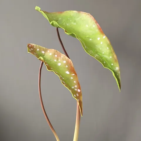 Hoja de Begonia Trucha de PU Artificial Planta de Simulación Follaje Falso para Decoración del Hogar y Accesorios de Fotografía
