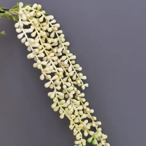 Künstliche Weichgummi Perlenschnur Sukkulente Hängende Pflanze Simulierte Grünpflanze Ranke Für Hochzeit Heimdekoration