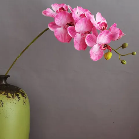 Tallo de Flor de Orquídea Phalaenopsis Artificial Tacto Real Silicona PU Decoración del Hogar Boda Hotel Fondo de Transmisión en Vivo