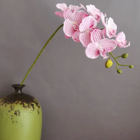 Tallo de Flor de Orquídea Phalaenopsis Artificial Tacto Real Silicona PU Decoración del Hogar Boda Hotel Fondo de Transmisión en Vivo