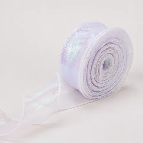 Nastro in Organza Nastro Filato a Rete Iridescente Bordo Dorato Nastro Confezione Regalo per Torta Bouquet di Fiori Matrimonio Festa