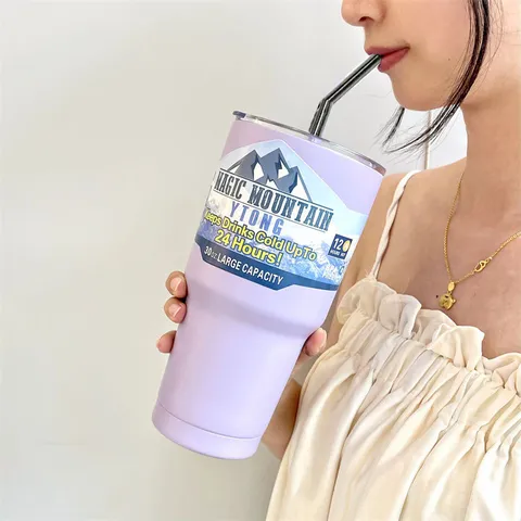 Bicchiere Isolato Sotto Vuoto in Acciaio Inossidabile 304 Grande Capacità Bottiglia d'Acqua da Viaggio per Auto Con Cannuccia e Coperchio Viola Rosa