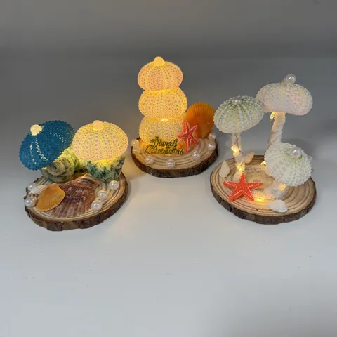 Handmade Sea Urchin Shell Night Light DIY Luminous Shell Desktop Atmosphere Ornament Warm LED Battery Powered Nightlight Gift