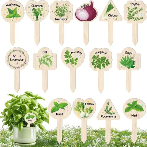 Hölzerne Pflanzenetiketten Kreative Gartenstecker Lustige Slogans Sukkulente Topfblume Schild Pflanzenmarker