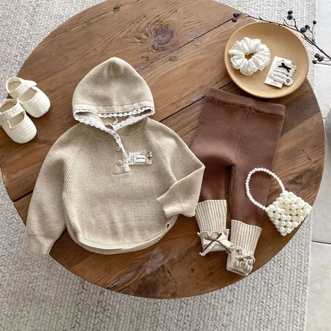 Baby Girls Hooded Sweatshirt And Leggings Top And Bottom Cute Viscose Blend Long Sleeve Pullover And Long Pants Infant Fall Outfit