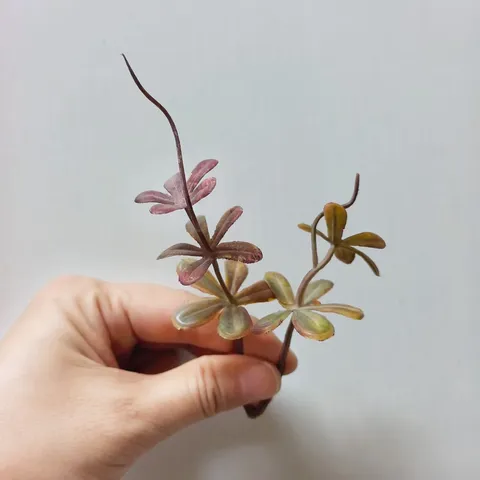PVC Artificial Green Plants 5-Petal Leaf Branches DIY Handmade Corsage Wrist Flower Hat Accessories Home Decor