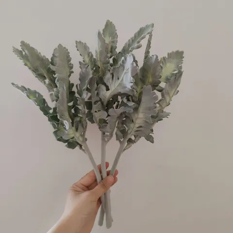 Artificial Silver Ragwort Leaf Flocked Rabbit Ear Leaf Greenery Stem Simulation Plant For Floral Arrangement Home Decor