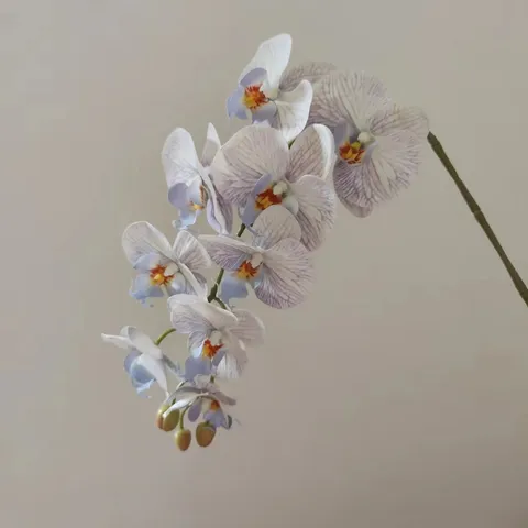 Artificial Phalaenopsis Flower 9 Heads Silk Orchid Branch Fake Floral For Home Wedding Decor Photography Prop
