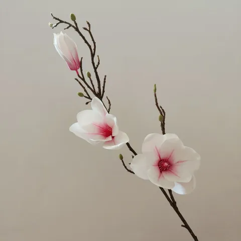Fiore di Magnolia Artificiale Singolo Rametto Fiori di Seta Tocco Reale Decorazione per la Casa Accessori per Fotografia