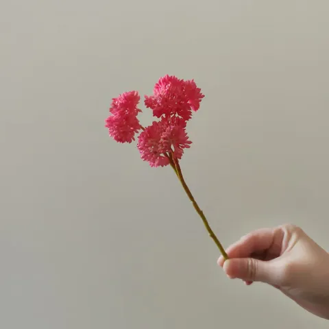 Fiore Artificiale Mini Pianta Succulenta Stelo di Cavolfiore Gomma Morbida Finta Pianta Per Corsage DIY Fiore da Polso Arredamento
