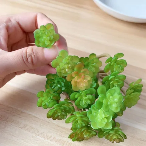 Künstliche Sukkulente Pflanze Mini Falsches Grün Kunststoff Blumenarrangement für Mikrolandschaft Heimdekoration