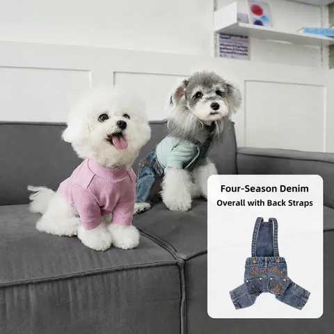 Simpatico Ricamo Occhi a Cuore Vestiti per Cani da Compagnia Autunno Inverno Caldo Cotone Due Zampe Maglione Cucciolo Casual