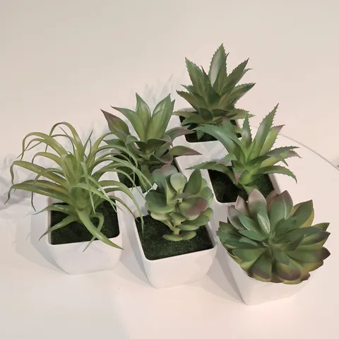 Artificial Succulent Potted Plant Small Autumn Color Series Plastic Fake Plant Desktop Home Office Decoration DIY Design