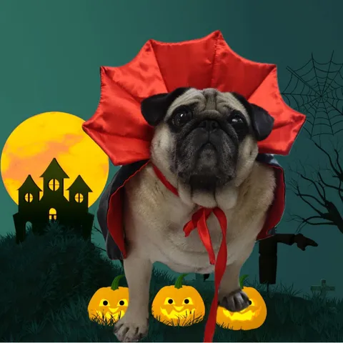 Huisdier Halloween Kaap Hoed Set Polyester Vampier Mantel Cosplay Kostuum Voor Honden Katten Kerstmis Vakantie Feest Kleding