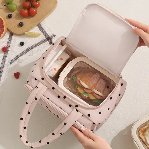 Geïsoleerde Lunchtas Draagbare Thermische Bento Tas Voor Dames Heren Kinderen Stippenpatroon Waterdichte Lunchbox Voor Werk School