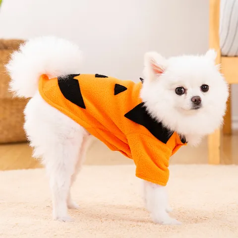 Costume d'Halloween pour Animaux Domestici Drôle Citrouille Sweat à Capuche pour Chien Chat Polaire Vêtements Chauds Chiot