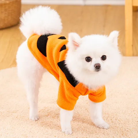 Costume d'Halloween pour Animaux Domestici Drôle Citrouille Sweat à Capuche pour Chien Chat Polaire Vêtements Chauds Chiot