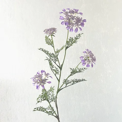 Fleur en Soie de Luxe Léger Minimaliste Artificielle Tige de Fleur en Dentelle Blanche et Violette pour Décoration de Mariage