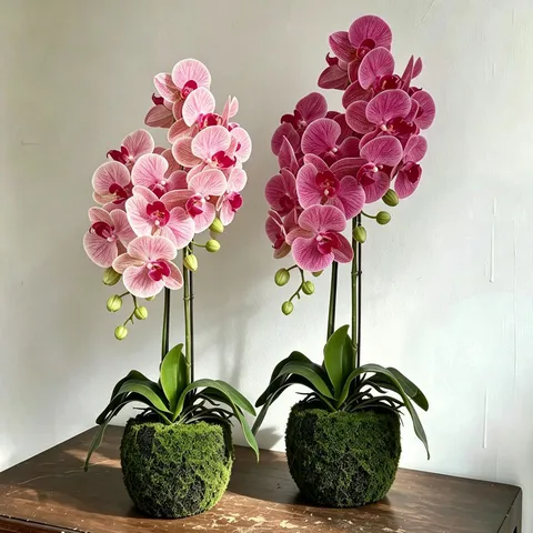 New Chinese Artificial Phalaenopsis Orchid Potted Plant Silk Simulation Flower For Home Hotel Wedding Decor