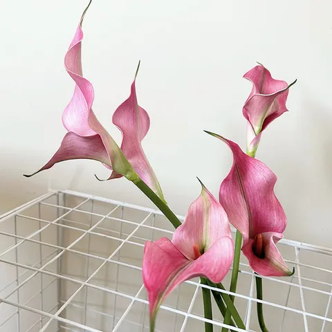 Luxe Léger Fleur Artificielle Calla Lys Tige Unique EVA Rétro Double Cœur Accessoire de Photographie Décoration d'Intérieur