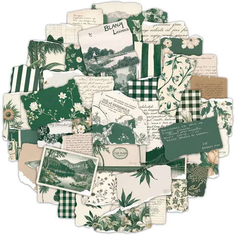 Retro Vintage Bordo Strappato Verde Graffiti Adesivi Estetica Botanica Scrapbook Decalcomanie Per Bagaglio Computer Portatile Bottiglia d'Acqua