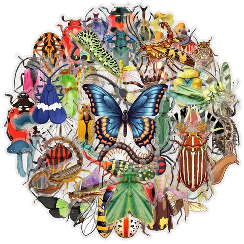 Adesivi di Insetti Cartoon Impermeabili Trasparenti PET Materiale per Diario DIY Chitarra Quaderno Adesivi Decorativi
