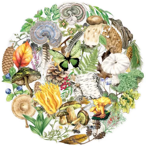 Adesivi PET Botanici di Foresta Vintage Adesivi Decorativi Impermeabili Per Bottiglia d'Acqua Skateboard Diario Fai Da Te