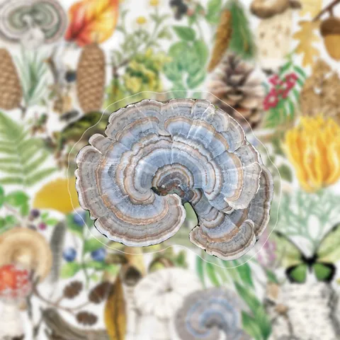 Adesivi PET Botanici di Foresta Vintage Adesivi Decorativi Impermeabili Per Bottiglia d'Acqua Skateboard Diario Fai Da Te