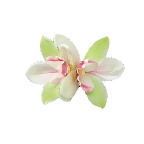 Bohemian Double Orchid Fabric Hair Clip Big Flower Hairpin Resort Vacation Hair Accessories For Women