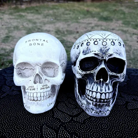 Resin Skull Figurine Halloween Decor Astrological and Anatomical Gothic Tabletop Ornament Home Decor Sculpture
